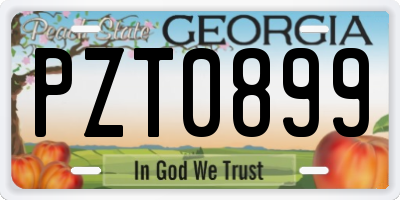 GA license plate PZT0899