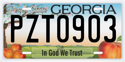 GA license plate PZT0903