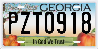 GA license plate PZT0918