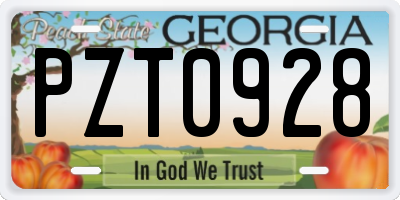 GA license plate PZT0928