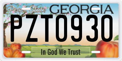 GA license plate PZT0930