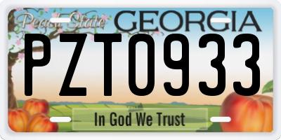 GA license plate PZT0933