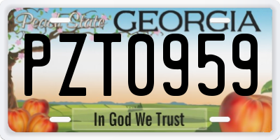 GA license plate PZT0959