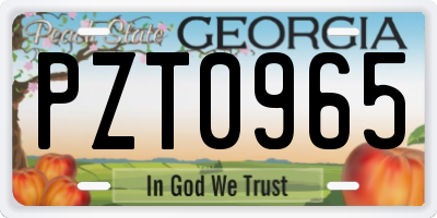 GA license plate PZT0965