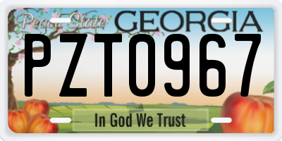 GA license plate PZT0967
