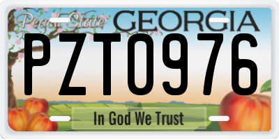 GA license plate PZT0976