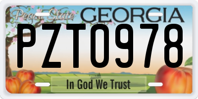 GA license plate PZT0978