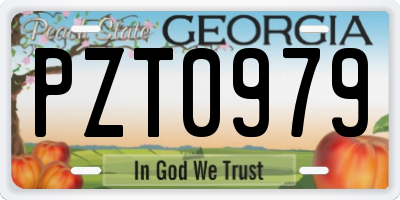 GA license plate PZT0979
