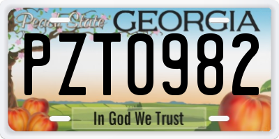 GA license plate PZT0982