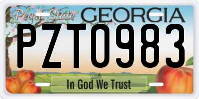 GA license plate PZT0983
