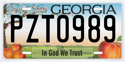 GA license plate PZT0989