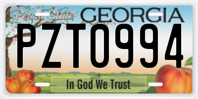 GA license plate PZT0994