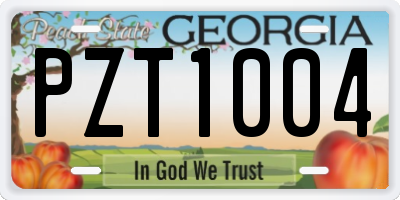 GA license plate PZT1004