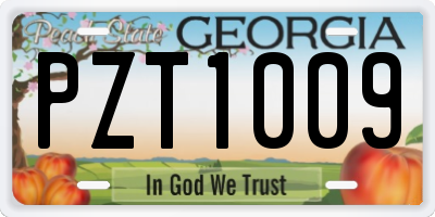 GA license plate PZT1009