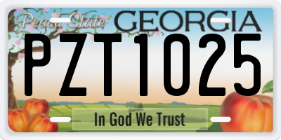 GA license plate PZT1025