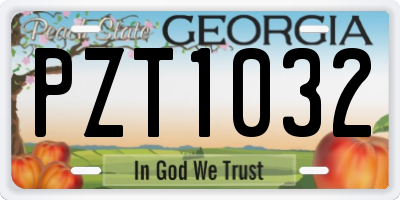 GA license plate PZT1032