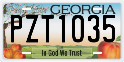 GA license plate PZT1035