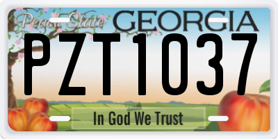 GA license plate PZT1037