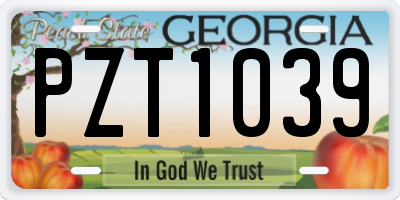 GA license plate PZT1039