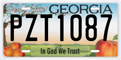 GA license plate PZT1087