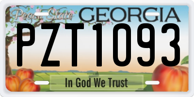 GA license plate PZT1093