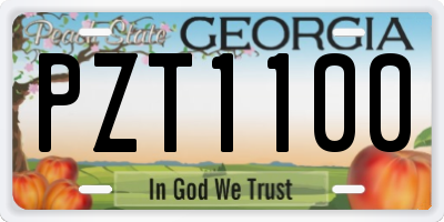 GA license plate PZT1100