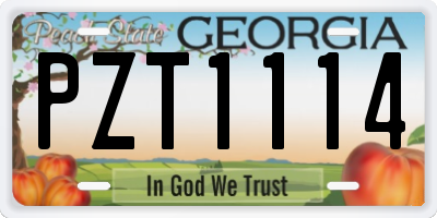 GA license plate PZT1114