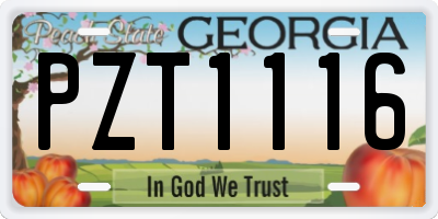 GA license plate PZT1116