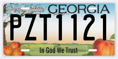 GA license plate PZT1121
