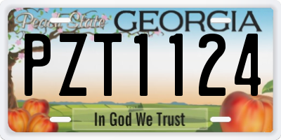 GA license plate PZT1124