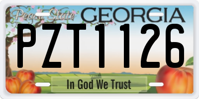 GA license plate PZT1126