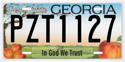 GA license plate PZT1127