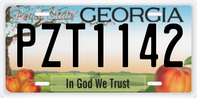 GA license plate PZT1142