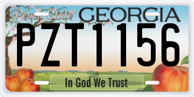 GA license plate PZT1156