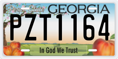 GA license plate PZT1164