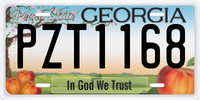 GA license plate PZT1168