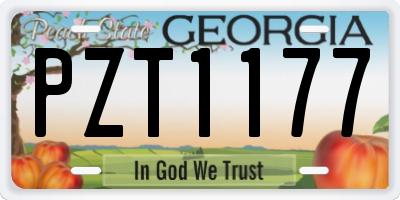 GA license plate PZT1177