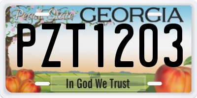 GA license plate PZT1203