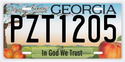 GA license plate PZT1205