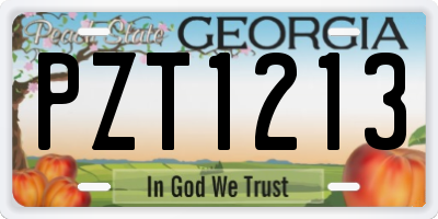 GA license plate PZT1213