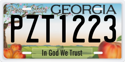 GA license plate PZT1223
