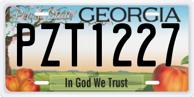 GA license plate PZT1227