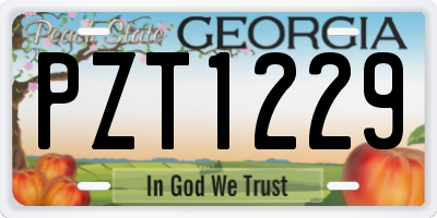 GA license plate PZT1229