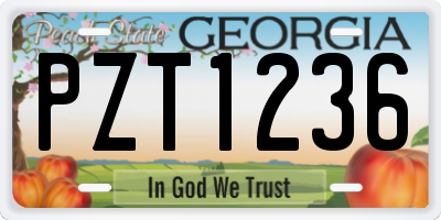 GA license plate PZT1236