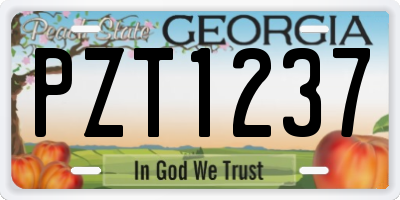 GA license plate PZT1237