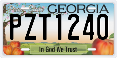 GA license plate PZT1240