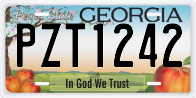 GA license plate PZT1242
