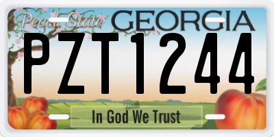 GA license plate PZT1244