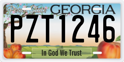 GA license plate PZT1246