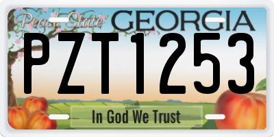 GA license plate PZT1253